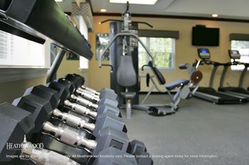 Free weights